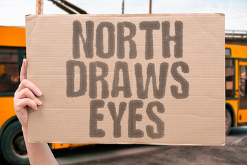 "North Draws Eyes" Attention shifts toward polar territories. ARCTIC. GREENLAND. INTEREST. US. REGION.