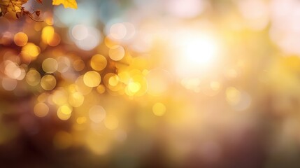 Sunlight filters through the leaves of trees in a forest. The scene captures the warmth of the sun during the afternoon in October. The sun makes a bright glow against the background of leaves.
