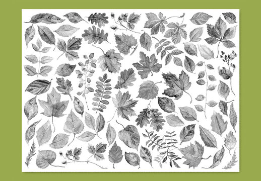 Vector watercolor painted leaves clipart with stipple noise texture effect