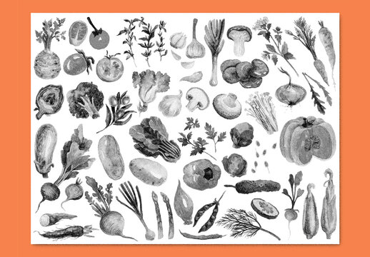 Vector watercolor painted vegetables clipart with stipple noise texture effect