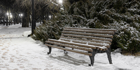 Snowy Path with Empty Wooden Bench and Lights