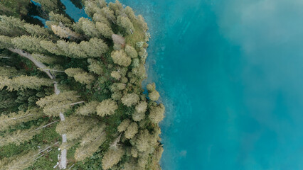 Contraste naturel entre lac turquoise et for&ecirc;t verdoyante 