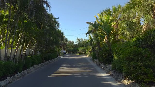 Driving on scenic road in sunny Florida. Casey Key coastal residential community picturesque streets.
