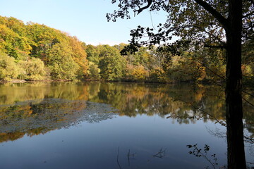 Maunzenweiher bei Frankfurt