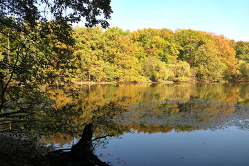 Maunzenweiher bei Frankfurt