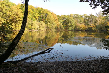 Maunzenweiher bei Frankfurt