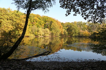 Maunzenweiher Bei Frankfurt