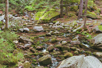 Mountain Stream in Karkonosze Mountains, Lower Silesia, Poland.