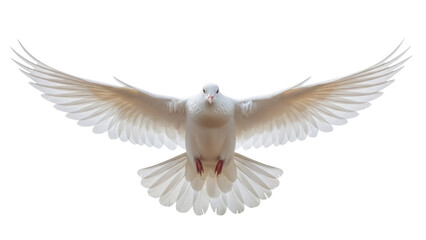 Obraz premium Dove PNG isolated on transparent background, white bird with open wings flying, symbol of peace and freedom, design element