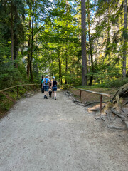 Obraz premium Rock town in the Czech Republic – Adrspach, Rocks