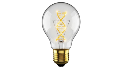 Light bulb with DNA filament isolated PNG on transparent background, genetic engineering and scientific innovation concept