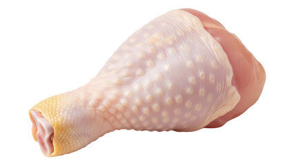 Raw chicken drumstick isolated PNG on transparent background, uncooked poultry leg for cooking and food preparation