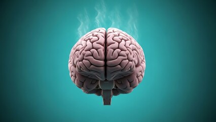 Human brain isolated with transparent background