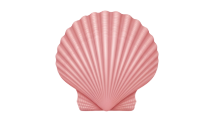 Pink scallop seashell isolated PNG, realistic sea shell clam for summer beach vacation and nautical decor on transparent background