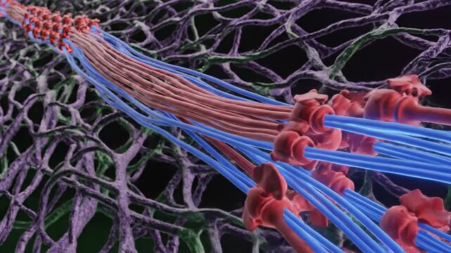 Intricate microscopic view of cellular structures and their interconnected network