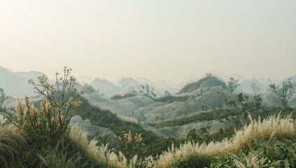 Whispers of Hues in Gradient Hills, a Landscape Study of Textures and Soft Lighting.