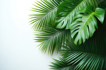 Obraz premium Trendy Botanical Arrangement Featuring Tropical Palm Leaves