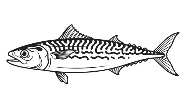 A mackerel fish illustration on a plain white background viewed from the side