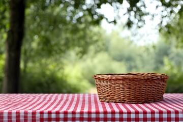 Picnic table covered with red checkered tablecloth and basket for a cozy outdoor meal