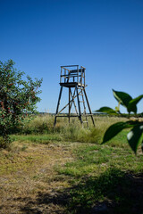 Wooden Hunting Lookout Tower in Rural Countryside Landscape