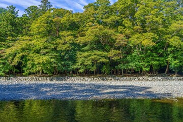 青空バックに見る清らかな清流五十鈴川の情景