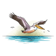 Fototapeta premium Majestic Pelican Soaring Over Calm Waters, Nature Wildlife Illustration.