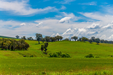 Fields and pastures around the Cowra region in Spring © Merrillie