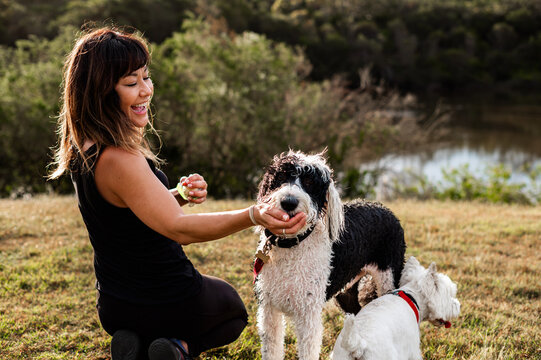 A woman laughs while feeding her playful dogs by the river in the sunny afternoon