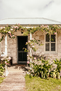 Front door of an old cottage with roses.