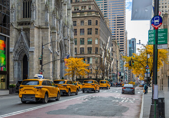 St. Patrick's Cathedral in autumn, Fifth Avenue Midtown Manhattan, New York City