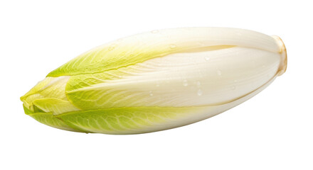 Fresh green endive leaf isolated on transparent background for healthy eating