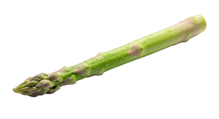 Fresh green asparagus spear isolated on transparent background