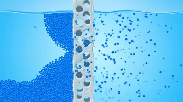 Osmosis Water Movement and Level Rise Diagram Animation