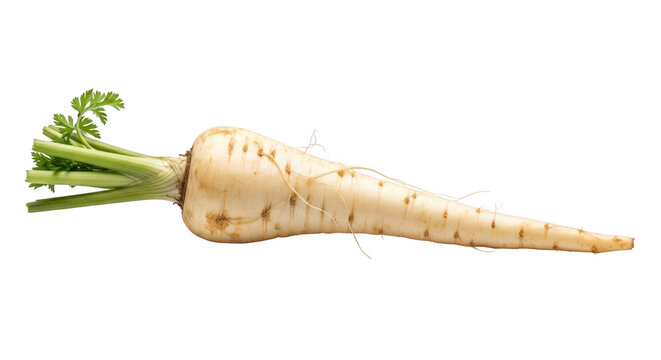 Fresh parsnip root isolated on transparent background with green leaves