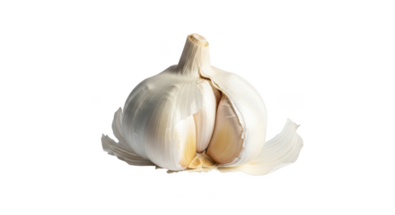 Fresh garlic clove isolated on transparent background for cooking and nutrition