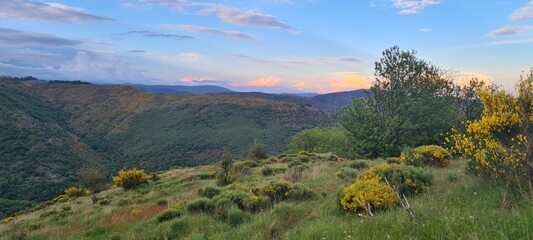 La Vallée Borgne vue depuis le massif de l'Aigoual au coucher du soleil