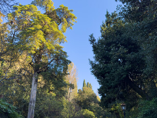 世界周遊アドリア海クルーズ　コルフ島モンレポス