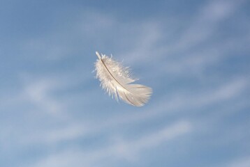 Single white bird feather floating gently in the bright blue sky with soft white clouds