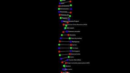 An educational medical animation featuring a vertical, scrolling list of genetic terms alongside a simplified double-helix model. The video displays terms such as "Genetic code," "Mutation," and "Geno - Powered by Adobe