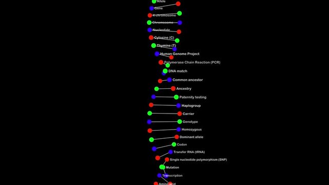 An educational medical animation featuring a vertical, scrolling list of genetic terms alongside a simplified double-helix model. The video displays terms such as "Genetic code," "Mutation," and "Geno