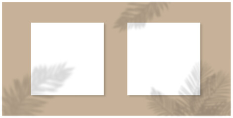 rectangle window shadow overlay