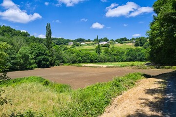 길거리, 네이처, 경관, sky, 나무, 마운튼, 여름, 목초, green, 경로, 구름, 농촌, 여행, 들판, 고개, 국가, 시골, 공원, 때, 식물, 경치, 목초지, 내추럴