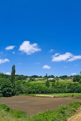 나무, sky, 경관, 네이처, 손바닥, 공원, 구름, 목초, 여행, 식물, 시골, 뜰, 여름, 열대, 돌, 이탈리아, 이스라엘, 스페인, 경작, 들판, 마운튼, 경치, 농촌