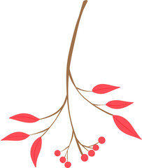 Winter birds, flowers & plants illustration