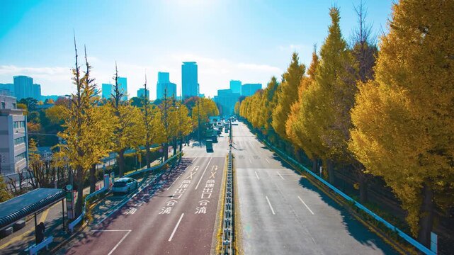 A timelapse of traffic jam at the yellow gingko street in the city wide shot tilt