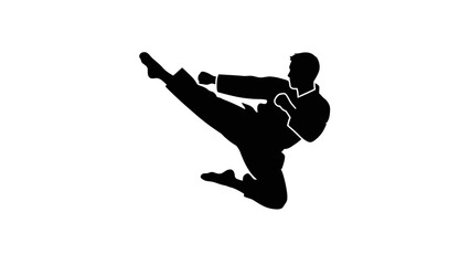 Martial Arts Fighter Kick Silhouette Icon. © Hafiz
