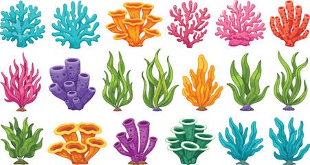 Collection of colorful underwater coral reef vectors featuring seaweed marine plants sea anemones and tropical ocean flora isolated on a white background. © MdShakil