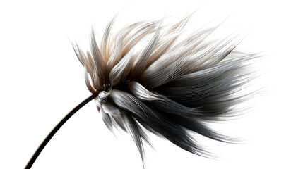 Elegant organic abstract plant structure with light and dark flowing strands creating a graceful minimalist movement for modern graphic communication and sophisticated presentations