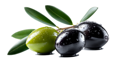 Fresh green and black olives with sparkling water droplets on an olive branch, ideal for food industry advertisements, healthy eating campaigns, and culinary product promotion.