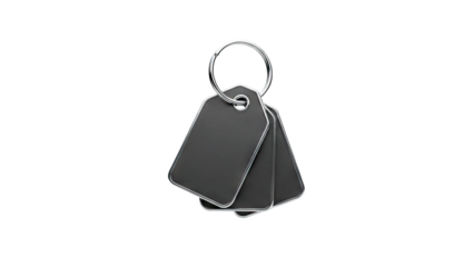 3D Group of blank dark grey key tags on a silver ring on transparent background